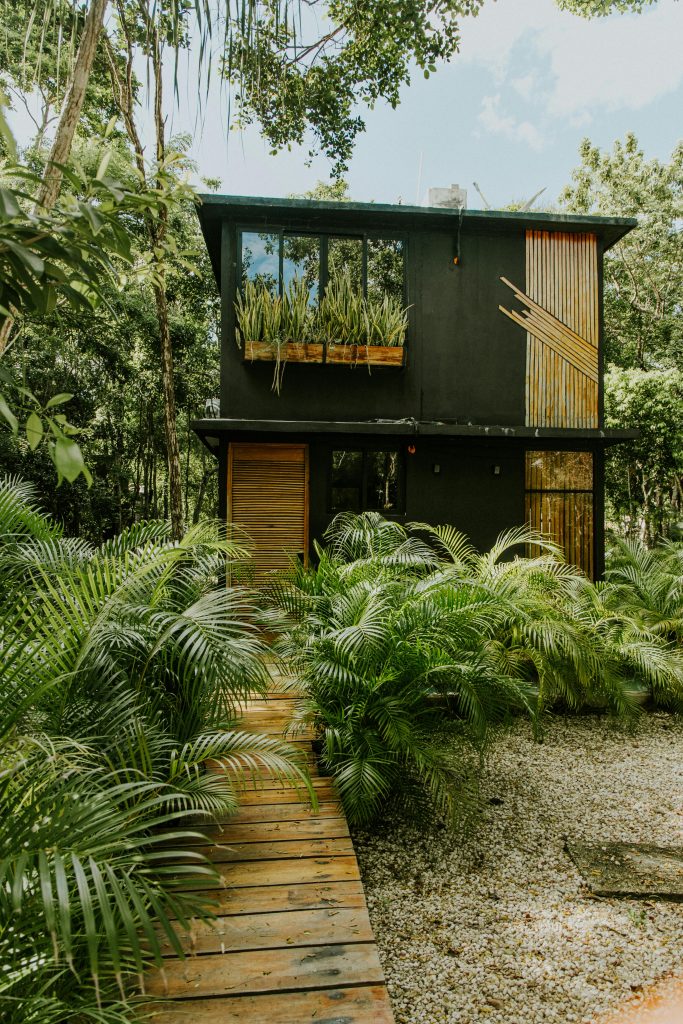 Cozy modern house in lush jungle setting, featuring wooden pathway and sustainable design elements for nature lovers.
