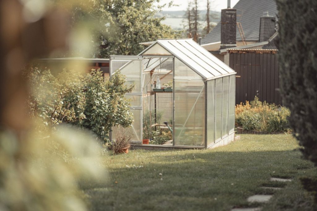 A peaceful backyard greenhouse surrounded by vibrant greenery on a sunny day.